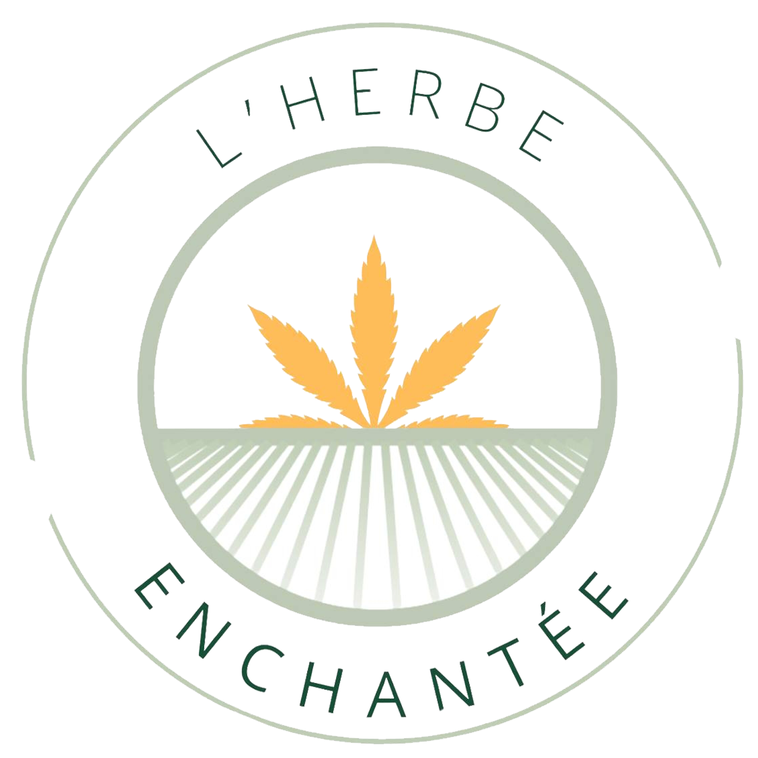 Logo 3
