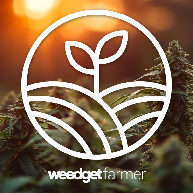 Weedget (image 2)