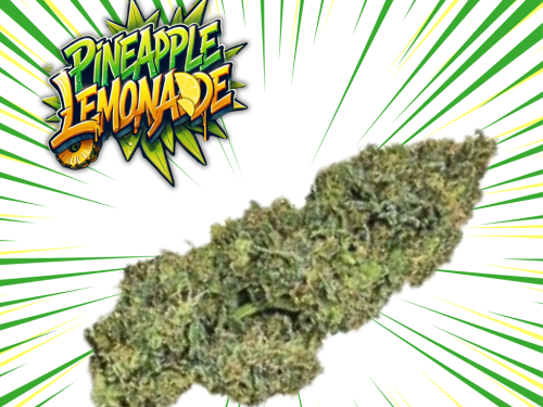 Pineapple Lemonade