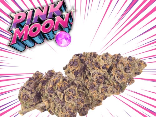 Pink Moon