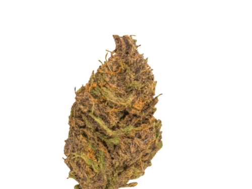 Saphir Kush